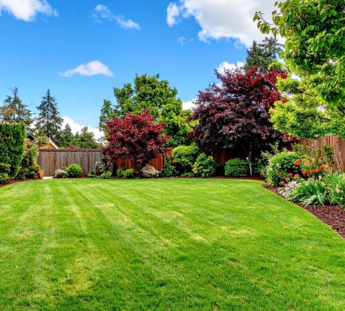 Landscape-Design-Installation.jpg