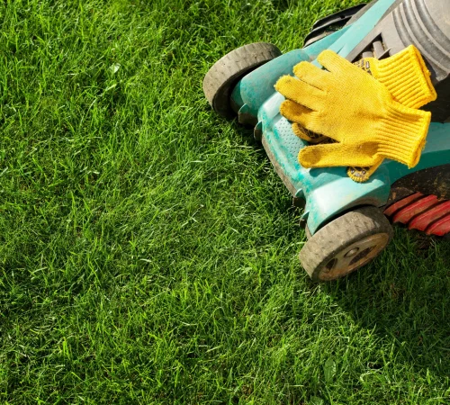lawn-mower-on-grass-closeup-view-lawn-care-concep-2026-03-20-00-52-16-utc